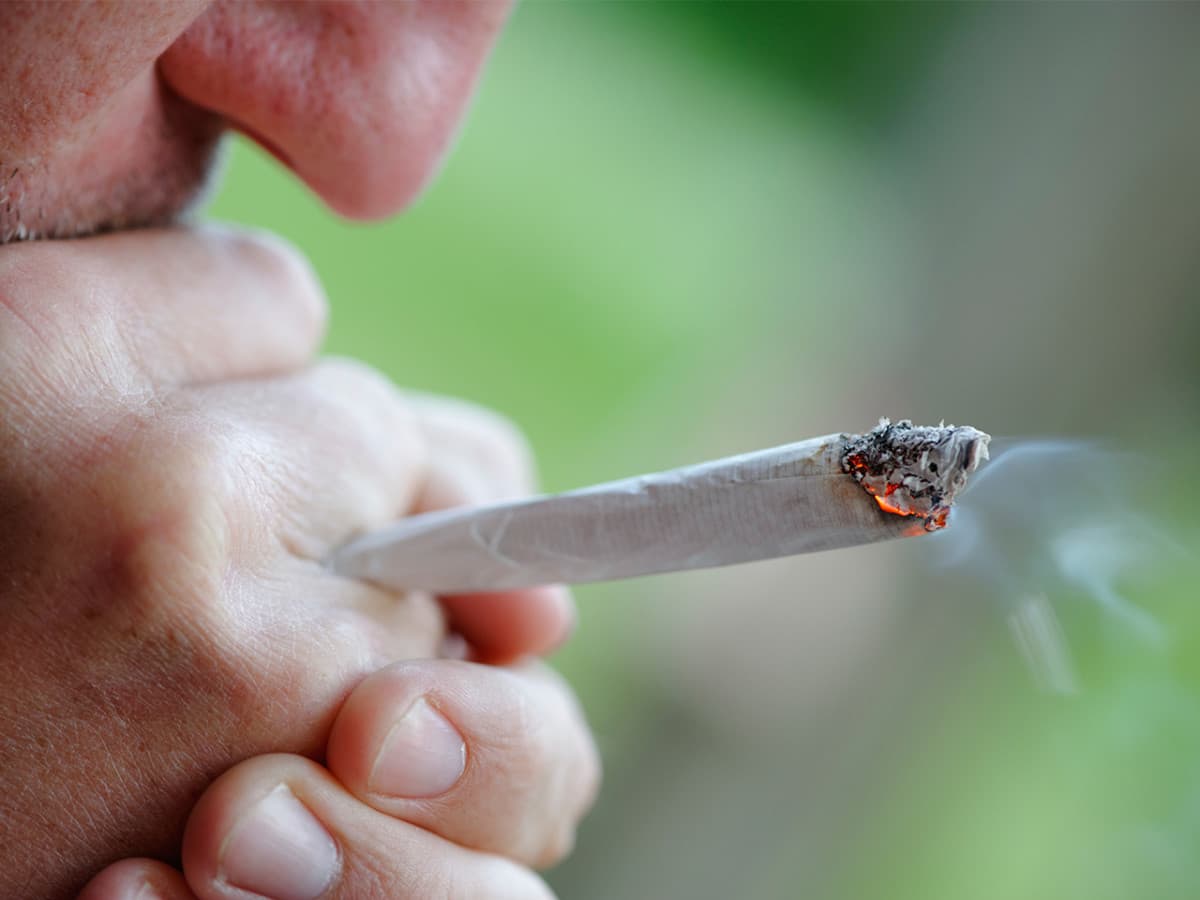 Premium-Qualität zu besten Preisen – Weed Samen kaufen mit Preisvorteil